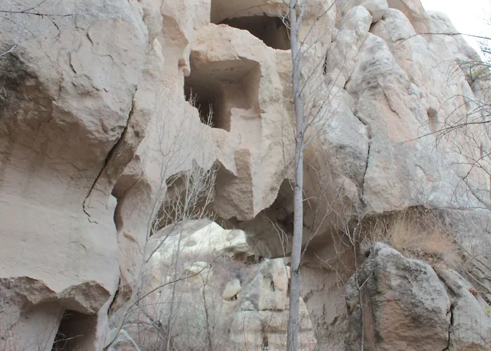 Sinasos Star Cappadocia ホテル ウルギュップ