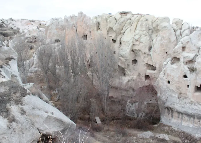 Sinasos Star Cappadocia Hotel Ürgüp